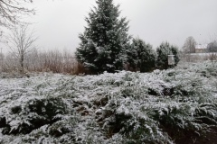 20201129_080604