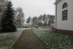 20201129_080803