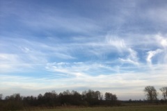 IMG_1696