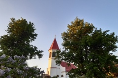 wiosna0101